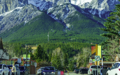Strengthening Business Resilience in the Bow Valley with RIC Disaster Management